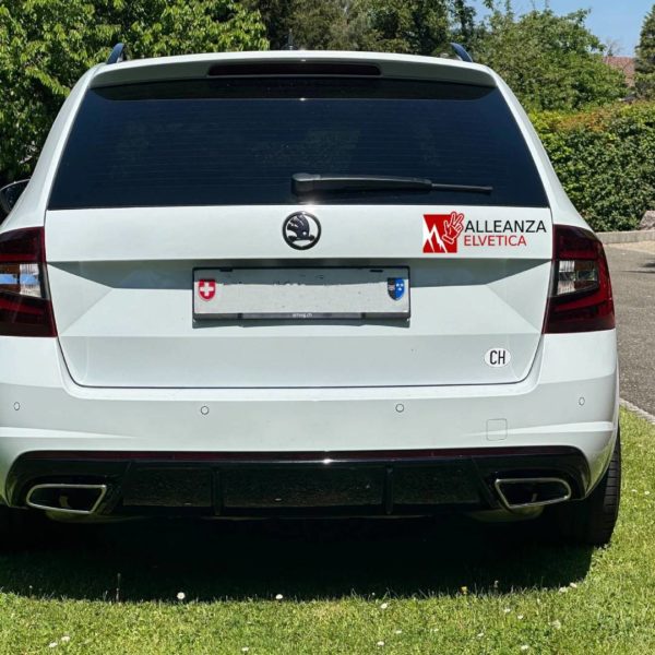 Adesivo Alleanza Elvetica