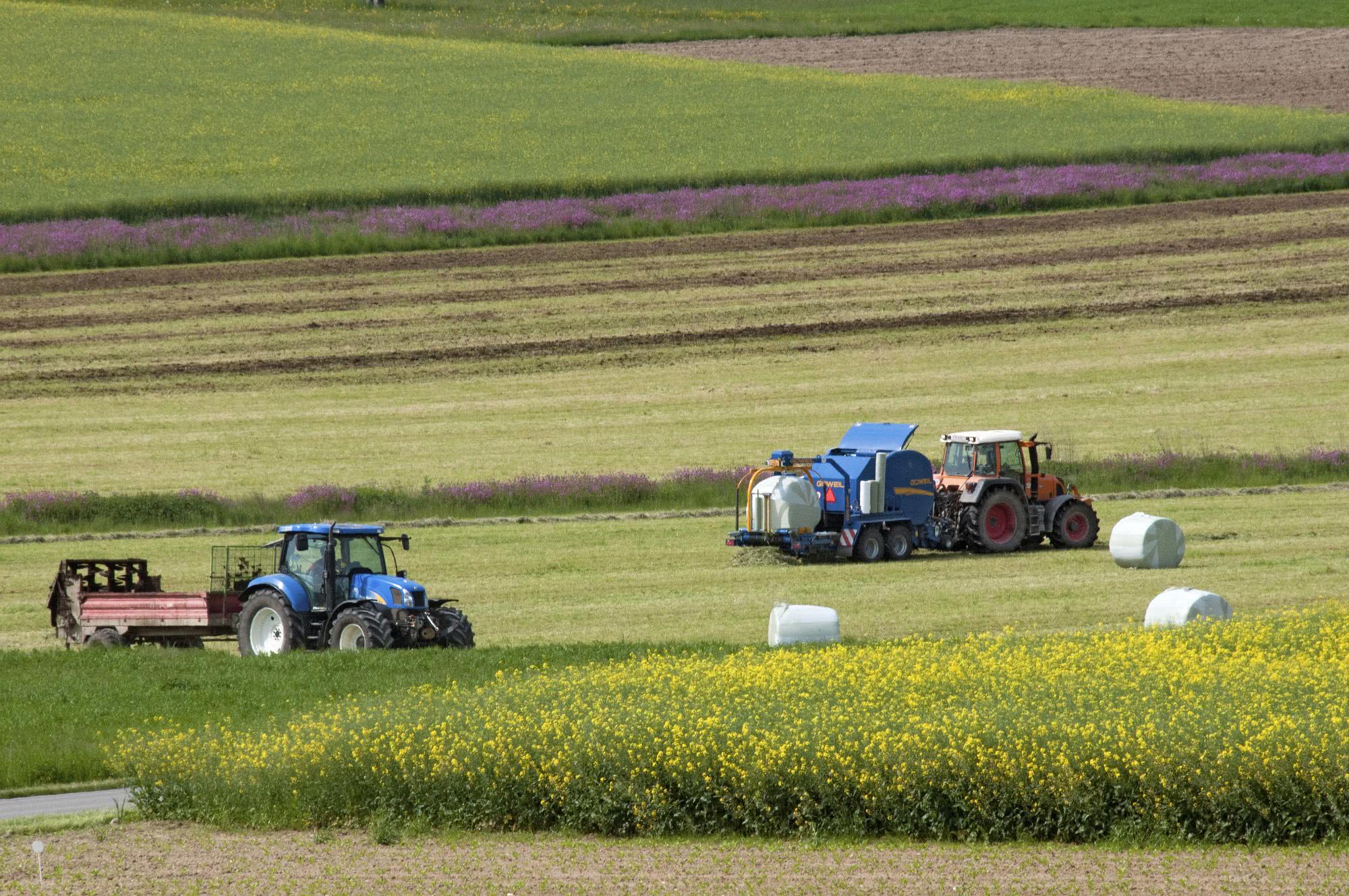 agricul