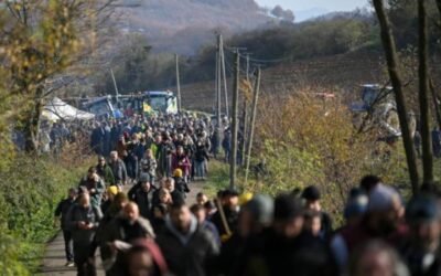 Abattage d&rsquo;un troupeau en Ariège : après de violents affrontements avec les manifestants, les forces de l&rsquo;ordre prennent le contrôle de la ferme